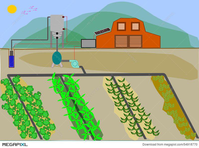Smart-watering-system.jpg