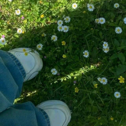 IMG_93502659.jpeg