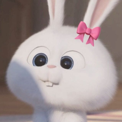 bunny9225.jpg