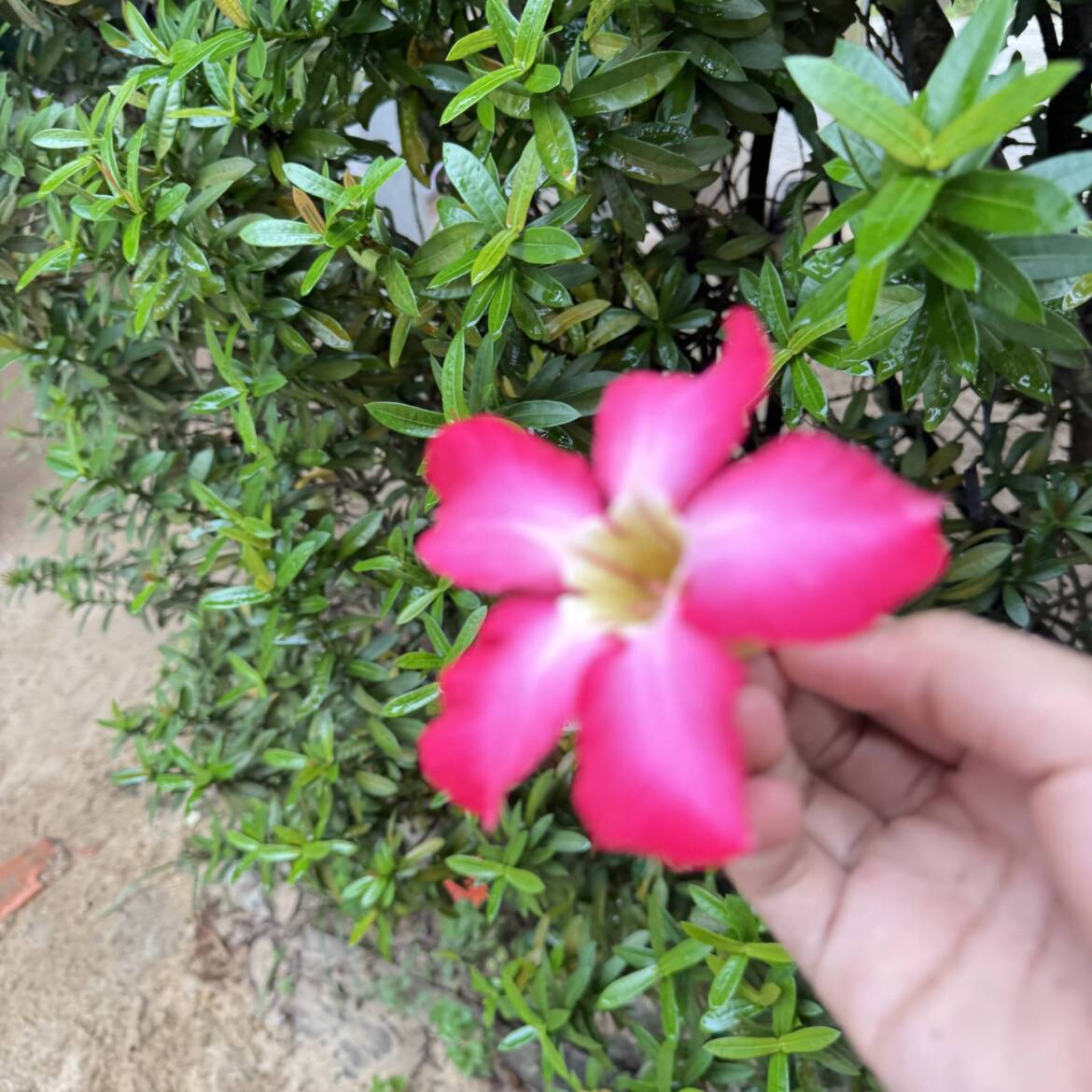 IMG_6325-scaled.jpeg